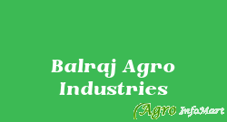 Balraj Agro Industries