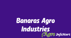 Banaras Agro Industries varanasi india