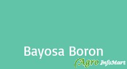 Bayosa Boron
