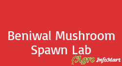 Beniwal Mushroom Spawn Lab
