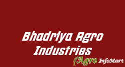 Bhadriya Agro Industries jaipur india