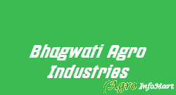 Bhagwati Agro Industries patiala india