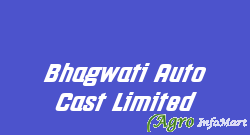 Bhagwati Auto Cast Limited ahmedabad india