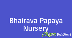 Bhairava Papaya Nursery
