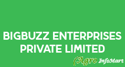Bigbuzz Enterprises Private Limited