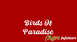 Birds Of Paradise delhi india