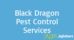 Black Dragon Pest Control Services