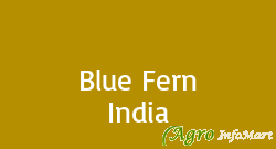 Blue Fern India mumbai india