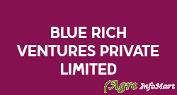 Blue Rich Ventures Private Limited nashik india