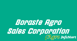Boraste Agro Sales Corporation nashik india