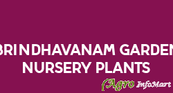 Brindhavanam garden Nursery plants