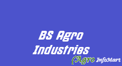 BS Agro Industries fatehabad india