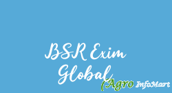 BSR Exim Global