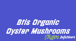 Btis Organic Oyster Mushrooms