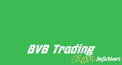 BVB Trading mahuva india