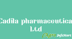 Cadila pharmaceutical Ltd jaipur india