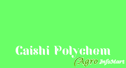 Caishi Polychem delhi india