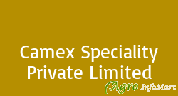 Camex Speciality Private Limited ahmedabad india