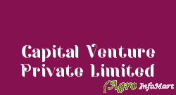Capital Venture Private Limited delhi india