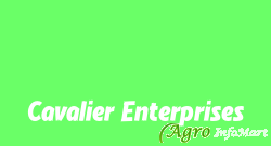 Cavalier Enterprises mumbai india
