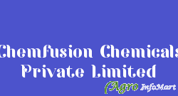 Chemfusion Chemicals Private Limited indore india