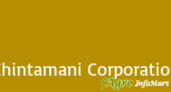 Chintamani Corporation himatnagar india