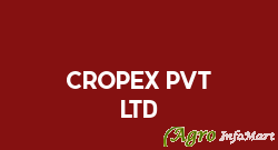 CROPEX PVT LTD