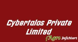 Cybertalos Private Limited ahmedabad india