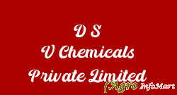 D S V Chemicals Private Limited