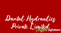 Dantal Hydraulics Private Limited gurugram india