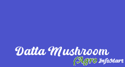Datta Mushroom