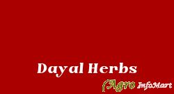 Dayal Herbs