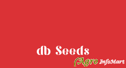 db Seeds guntur india