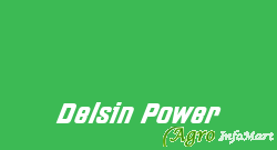 Delsin Power delhi india