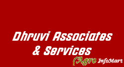 Dhruvi Associates & Services amravati india