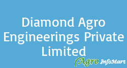Diamond Agro Engineerings Private Limited ludhiana india