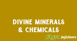 Divine Minerals & Chemicals udaipur india