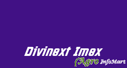 Divinext Imex surat india