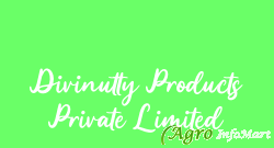 Divinutty Products Private Limited delhi india