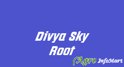 Divya Sky Root munger india