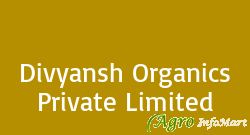 Divyansh Organics Private Limited meerut india
