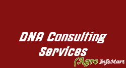 DNA Consulting Services chennai india