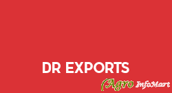 DR Exports