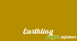 Earthling delhi india