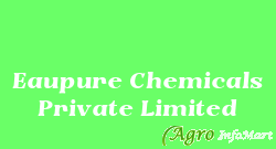 Eaupure Chemicals Private Limited pune india