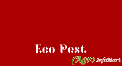 Eco Pest chennai india
