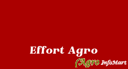 Effort Agro kolhapur india