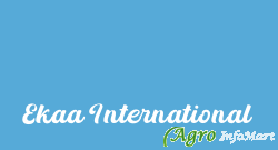 Ekaa International noida india