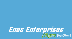 Enes Enterprises