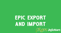 Epic Export And Import